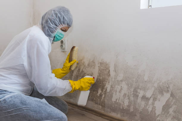 Best HVAC Mold Inspection and Cleaning  in West Glendive, MT
