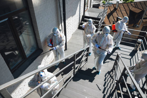 West Glendive, MT Mold Removal Company