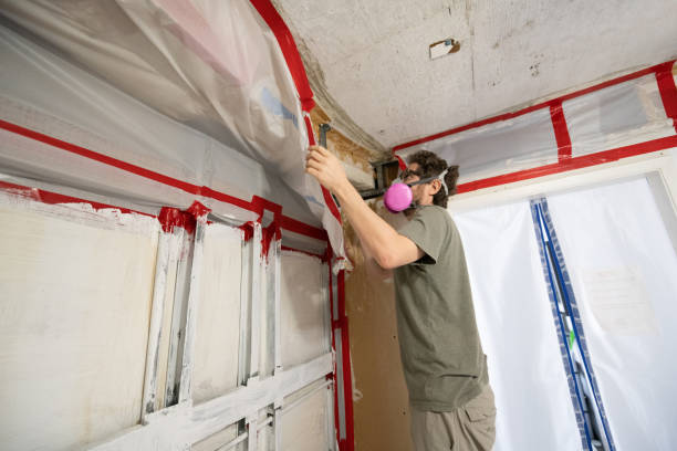 Biohazard Mold Removal in West Glendive, MT