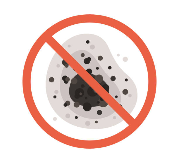 Best Mold Odor Removal Services  in West Glendive, MT