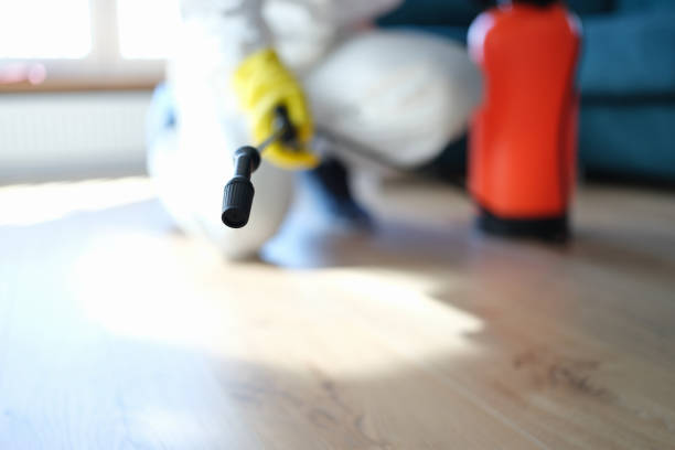 Best Air Quality Testing for Mold Spores  in West Glendive, MT