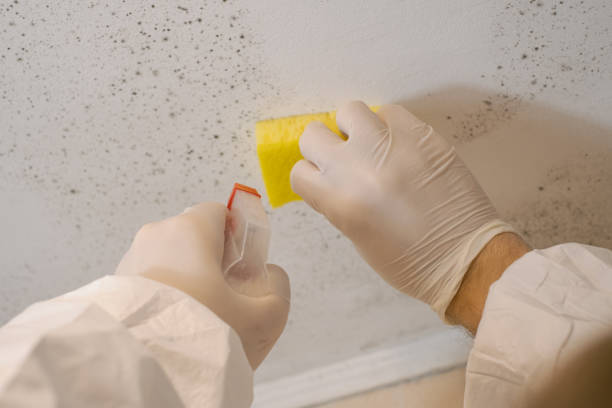 Best Airborne Mold Testing  in West Glendive, MT