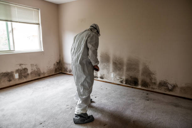 Best Air Quality Testing for Mold Spores  in West Glendive, MT